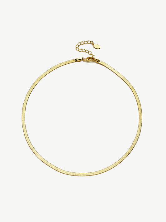 Snake Bone Necklace